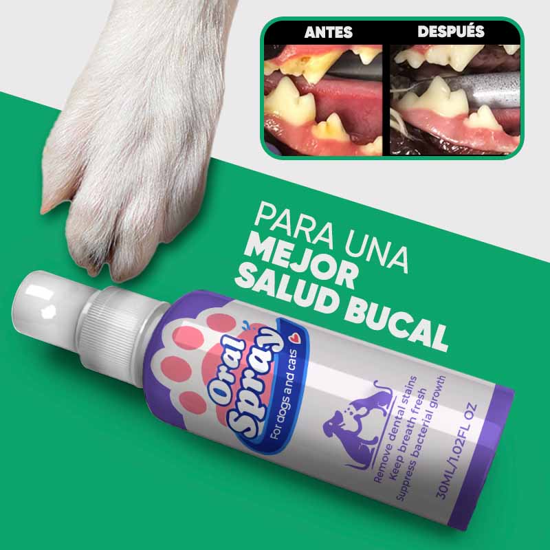 Spray bucal para gatos y perros vista adicional – Mil Ideas