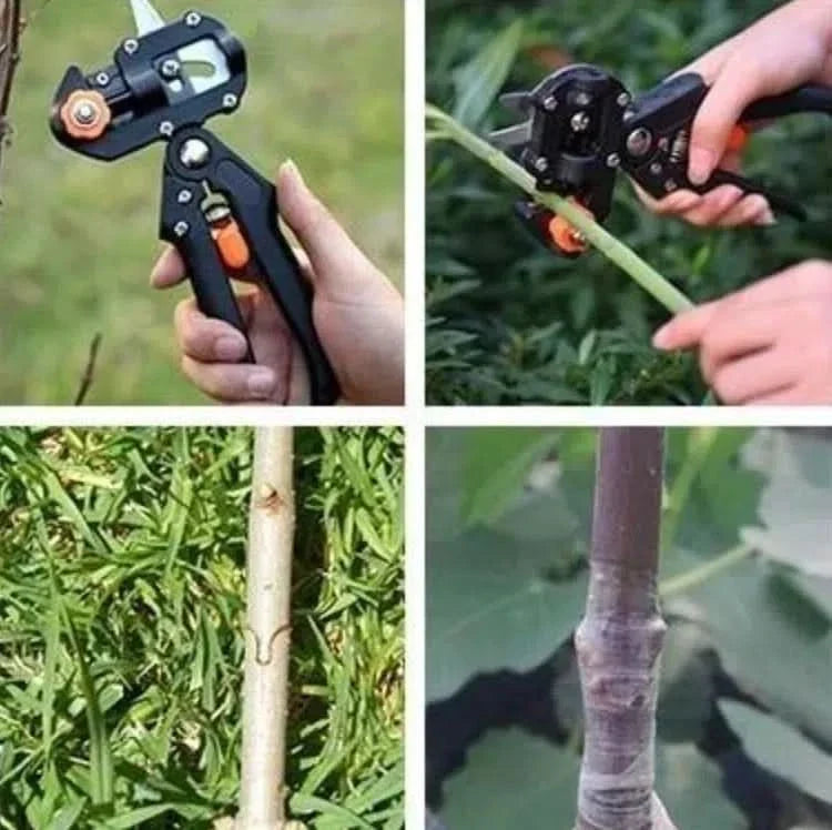 Herramienta para injertos en plantas en uso – Mil Ideas