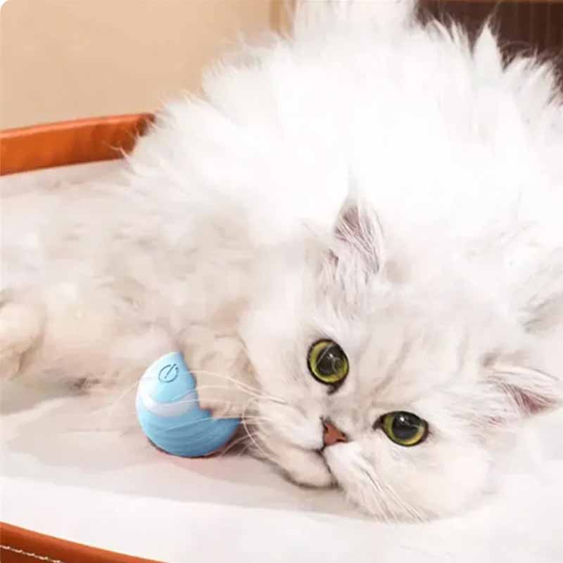 Pelota eléctrica con rebote automático MimoPaws en uso – Mil Ideas