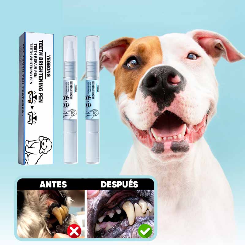 Eliminador de Sarro y Blanqueador para Mascotas en uso – Mil Ideas