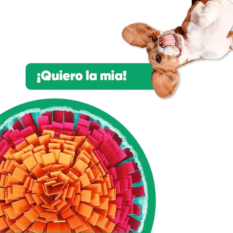 Alfombrilla de olfateo interactiva para mascotas en uso – Mil Ideas