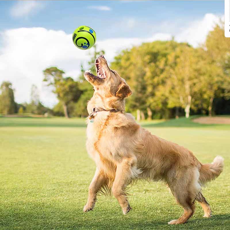 Pelota interactiva para mascotas con sonido en uso – Mil Ideas