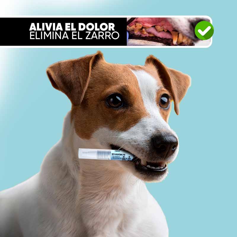 Eliminador de Sarro y Blanqueador para Mascotas detalle – Mil Ideas