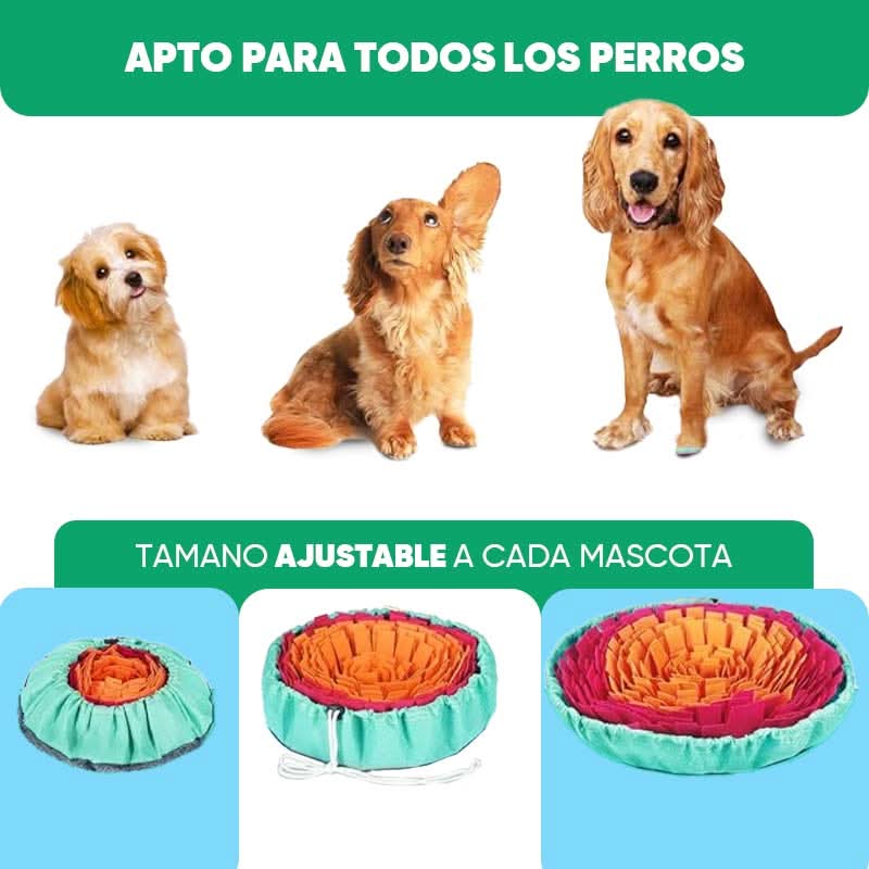 Alfombrilla de olfateo interactiva para mascotas detalle – Mil Ideas