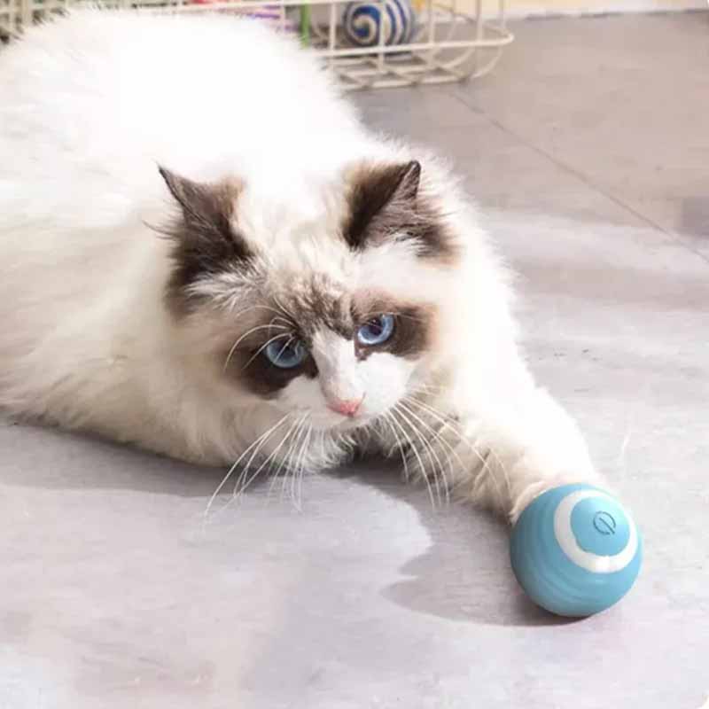 Pelota eléctrica con rebote automático MimoPaws vista adicional – Mil Ideas