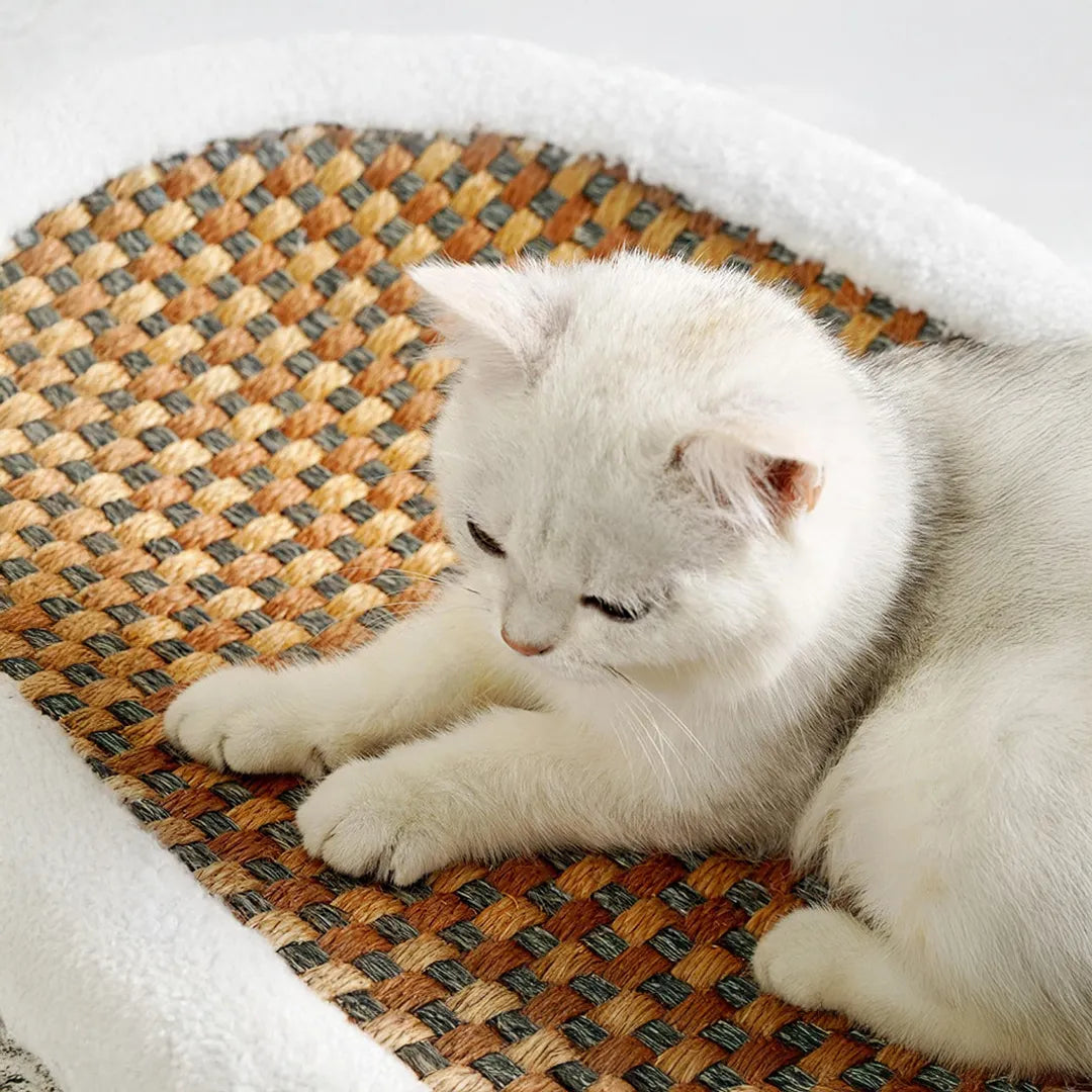 Cama rascador 2 en 1 para gatos vista adicional – Mil Ideas