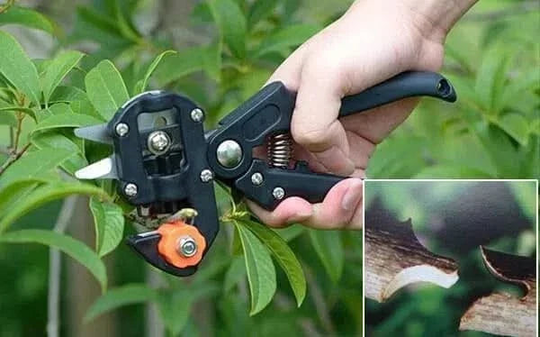 Herramienta para injertos en plantas vista adicional – Mil Ideas