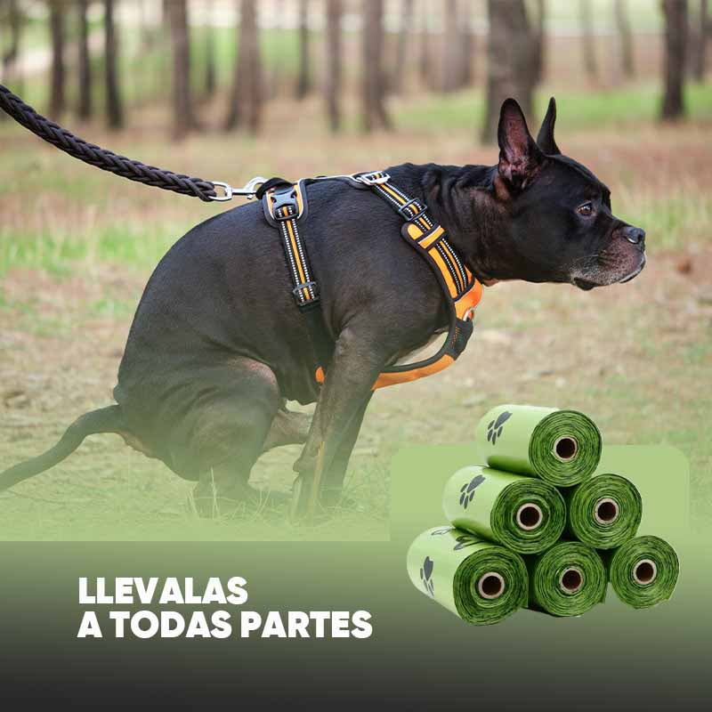 Bolsas Biodegradables para Mascotas en uso – Mil Ideas
