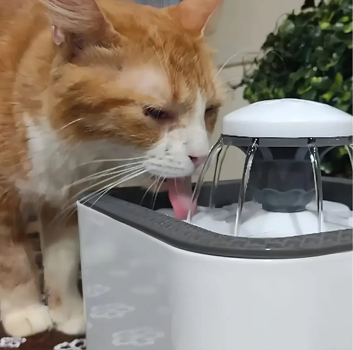 Bebedero mascotas detalle del filtro de agua – Mil Ideas