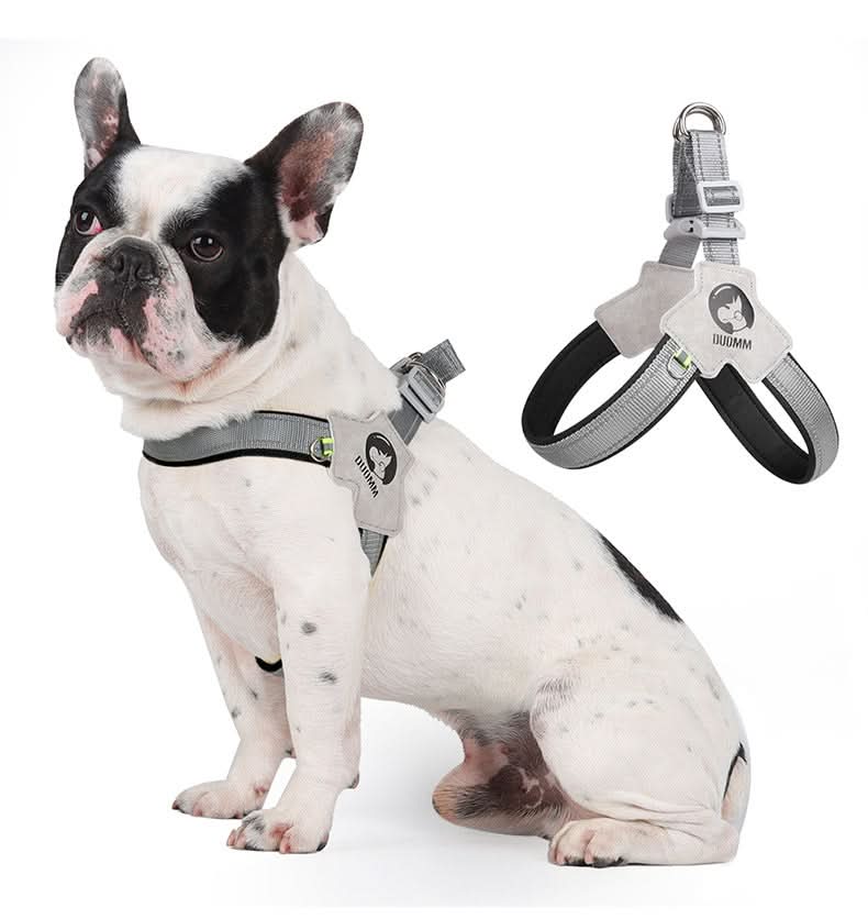 Arnés para perro con reflectivo y sistema ajustable – Mil Ideas