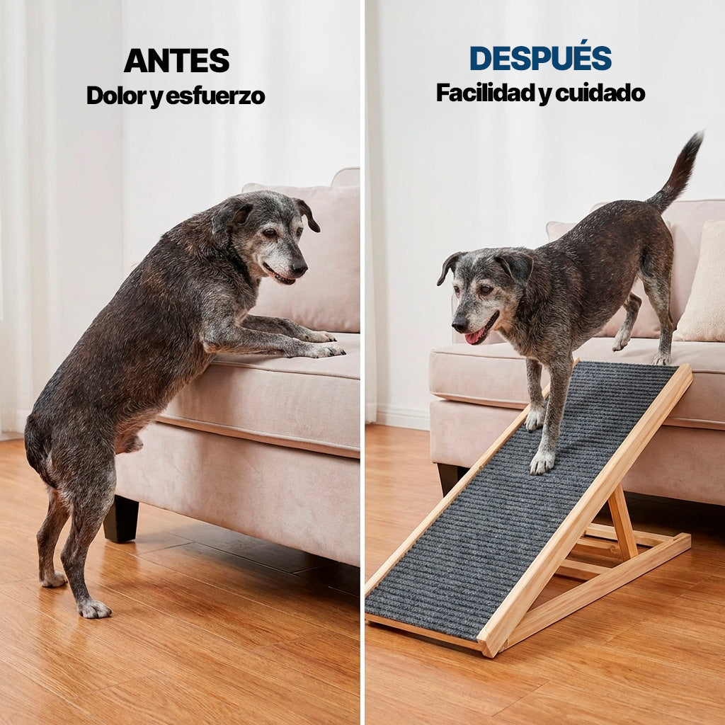 Rampa plegable para mascotas en uso – Mil Ideas