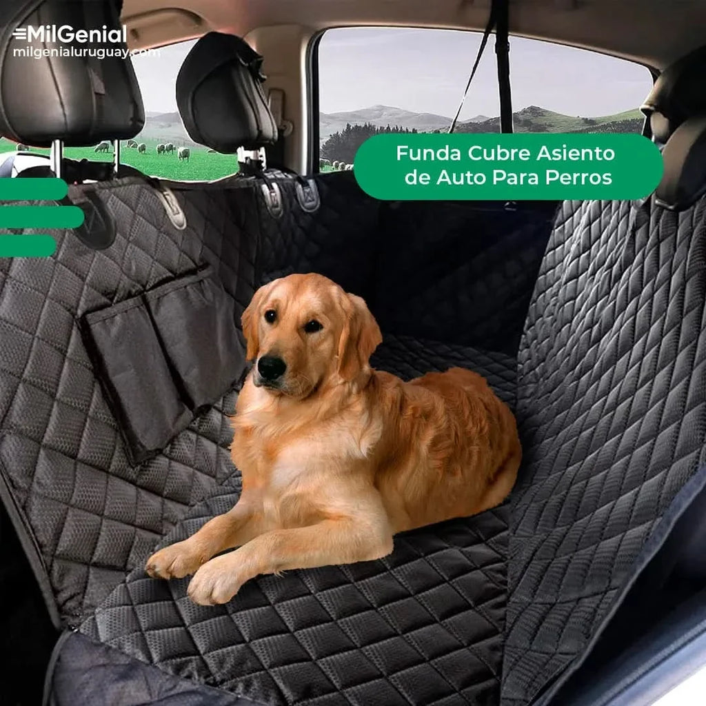 Funda Cubre Asiento de Auto Para Perros en uso – Mil Ideas