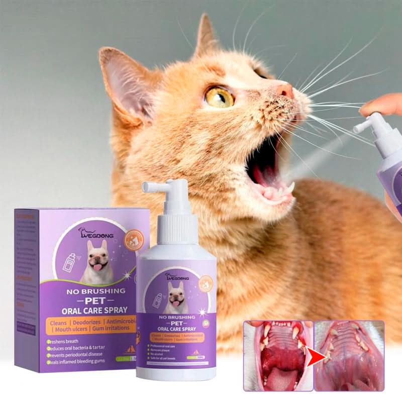 Spray dental mascotas en uso – Mil Ideas