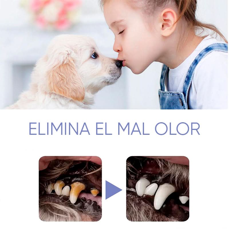 Spray dental sin cepillo mascotas vista adicional – Mil Ideas