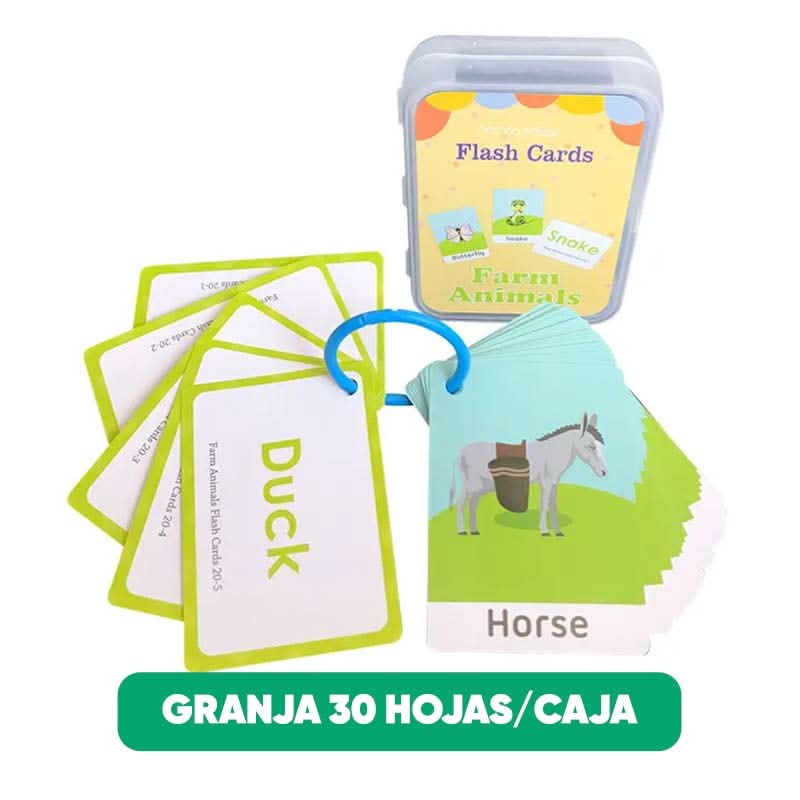 Pack de 5 tarjetas de aprendizaje en inglés para niños detalle – Mil Ideas