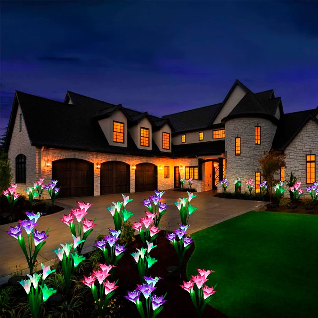 Luces tulipán solares vista adicional – Mil Ideas