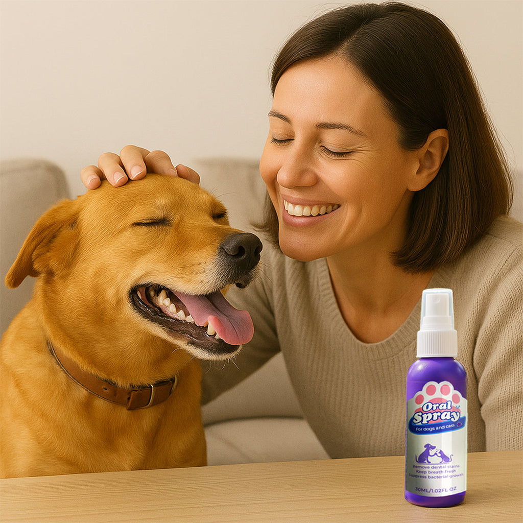 Pulverizador dental para mascota vista adicional – Mil Ideas