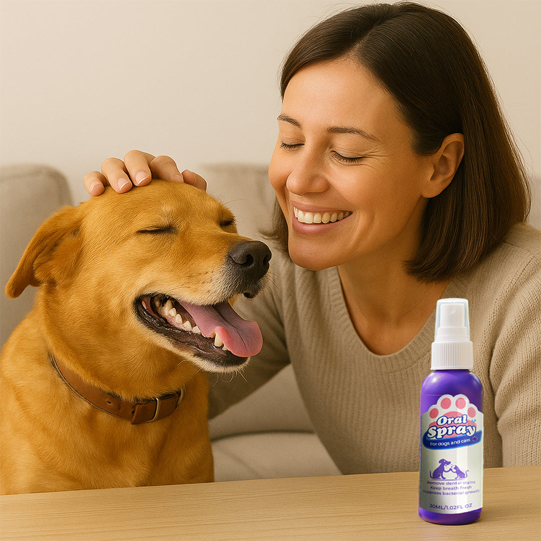 Pulverizador dental para mascota vista adicional – Mil Ideas