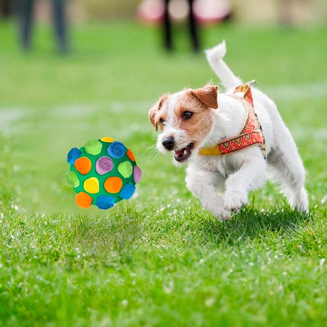 Juguete interactivo para mascotas en forma de pelota vista adicional – Mil Ideas