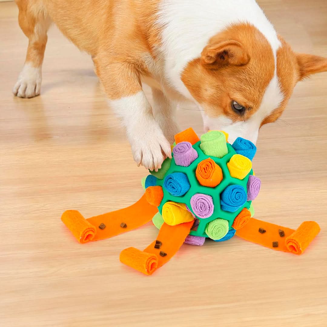 Pelota juguete interactivo siendo perseguida por gato en uso – Mil Ideas