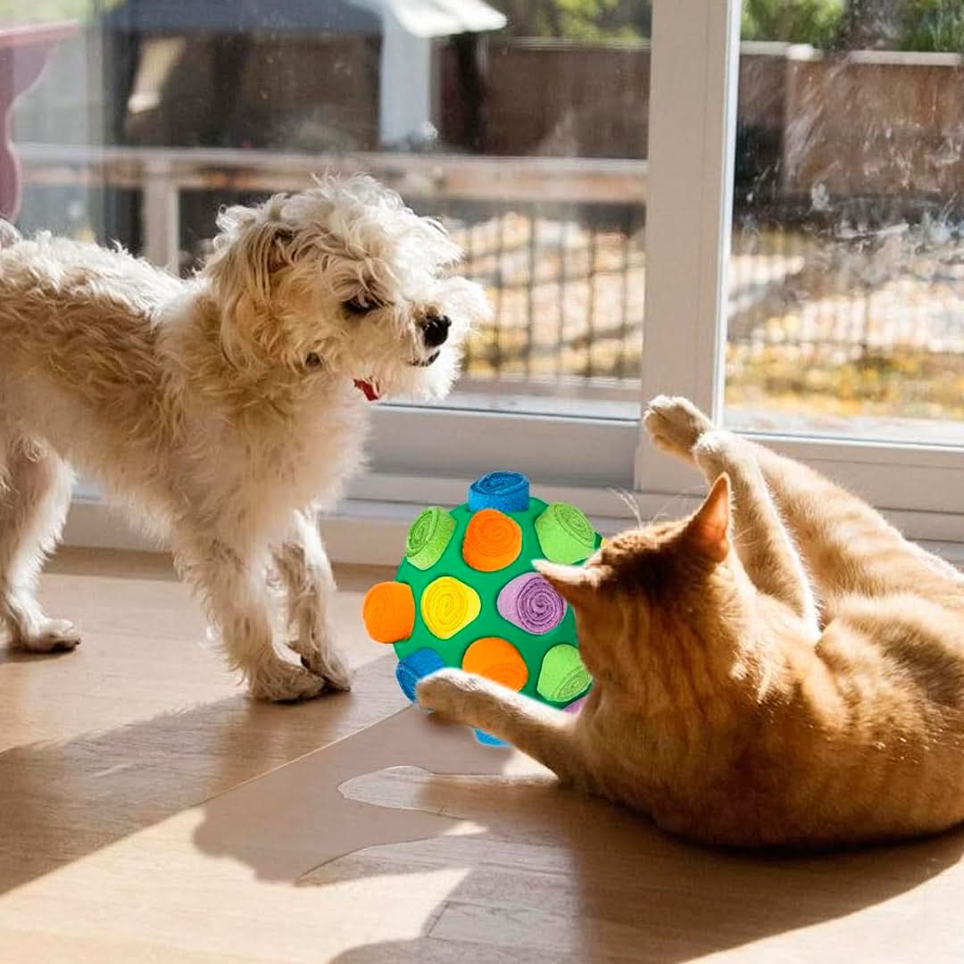 Juguete interactivo para mascotas en forma de pelota vista adicional – Mil Ideas