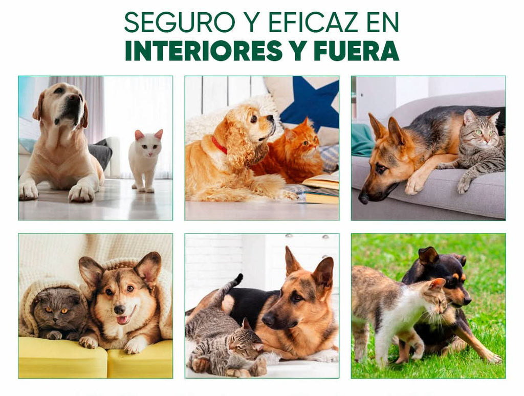 Repelente natural pulgas garrapatas detalle – Mil Ideas