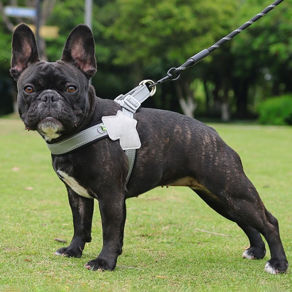 Arnés para perro vista adicional – Mil Ideas